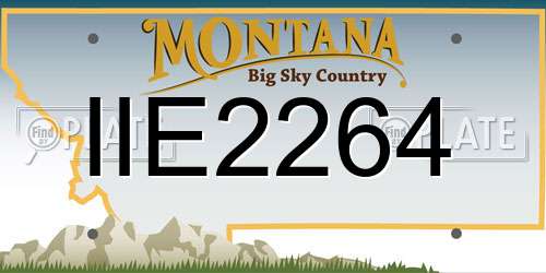 IIE2264 Montana License Plate
