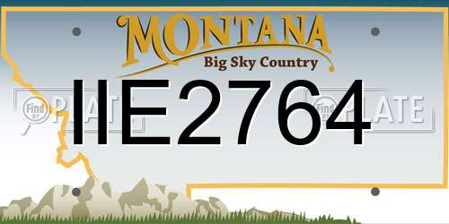 IIE2764 Montana License Plate