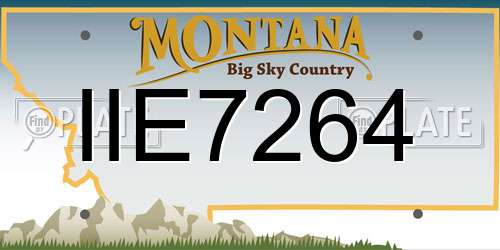 IIE7264 Montana License Plate