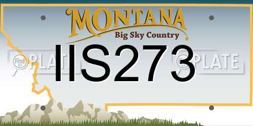 IIS273 Montana License Plate