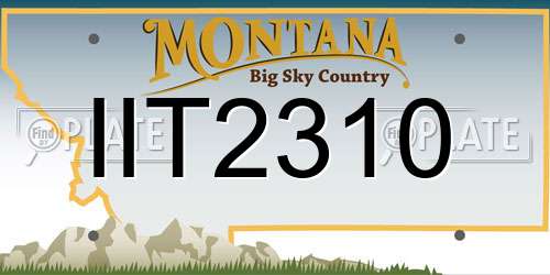 IIT2310 Montana License Plate