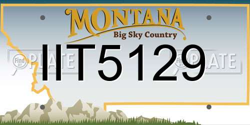 IIT5129 Montana License Plate