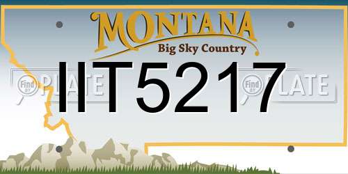 IIT5217 Montana License Plate