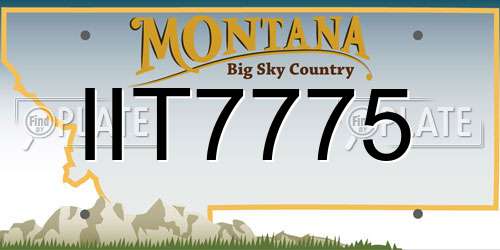 IIT7775 Montana License Plate