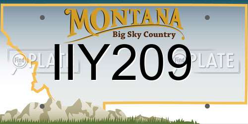 IIY209 Montana License Plate