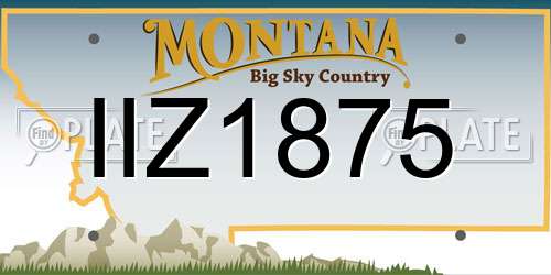 IIZ1875 Montana License Plate