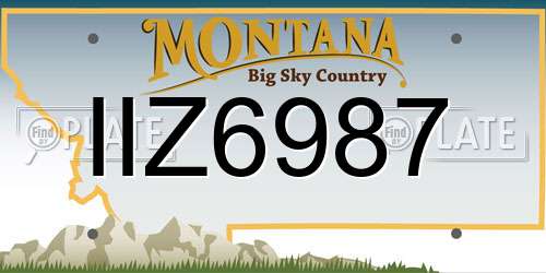 IIZ6987 Montana License Plate
