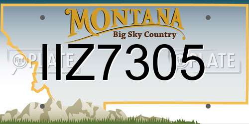 IIZ7305 Montana License Plate