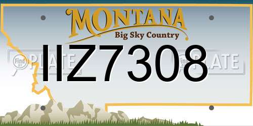 IIZ7308 Montana License Plate