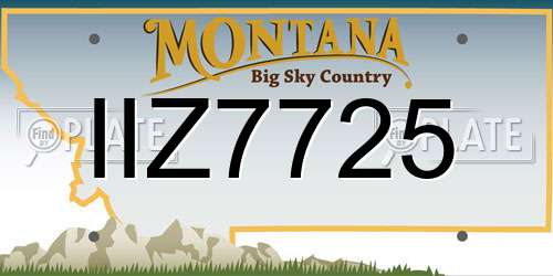IIZ7725 Montana License Plate