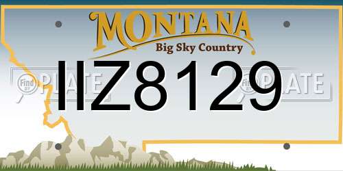 IIZ8129 Montana License Plate