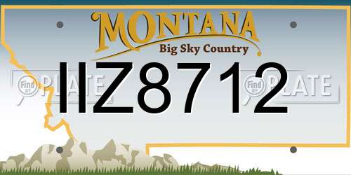 IIZ8712 Montana License Plate