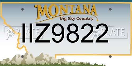 IIZ9822 Montana License Plate