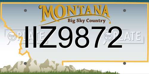 IIZ9872 Montana License Plate