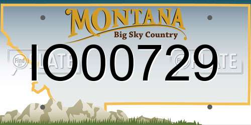 IO00729 Montana License Plate