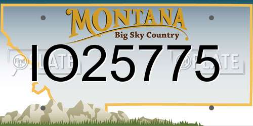 IO25775 Montana License Plate