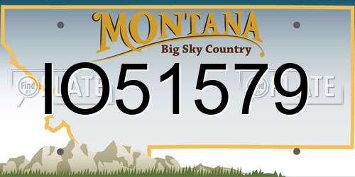 IO51579 Montana License Plate