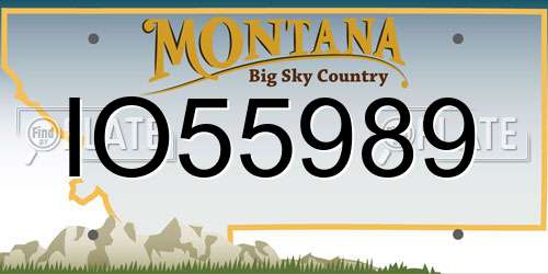 IO55989 Montana License Plate