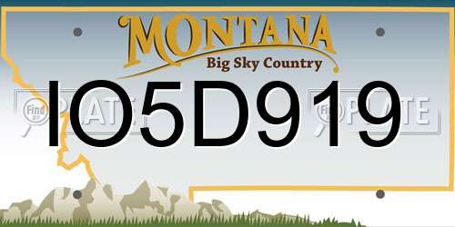 IO5D919 Montana License Plate
