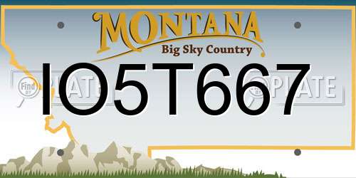 IO5T667 Montana License Plate