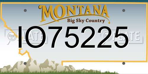 IO75225 Montana License Plate