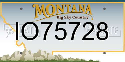 IO75728 Montana License Plate