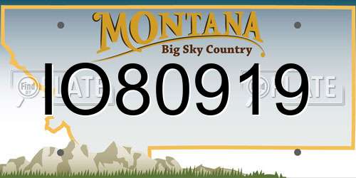 IO80919 Montana License Plate