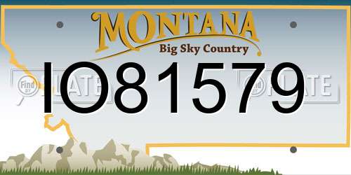 IO81579 Montana License Plate