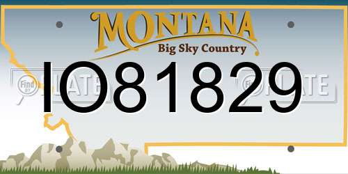 IO81829 Montana License Plate