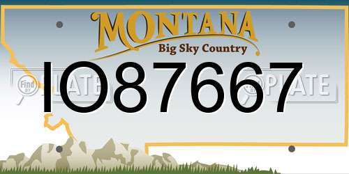 IO87667 Montana License Plate