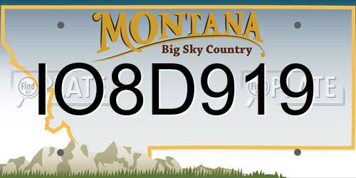 IO8D919 Montana License Plate