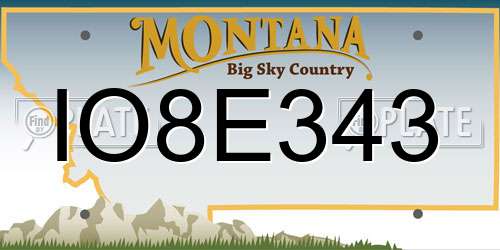 IO8E343 Montana License Plate