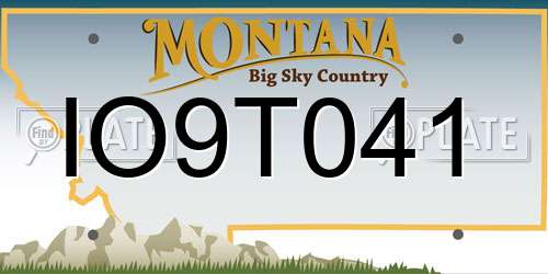 IO9T041 Montana License Plate