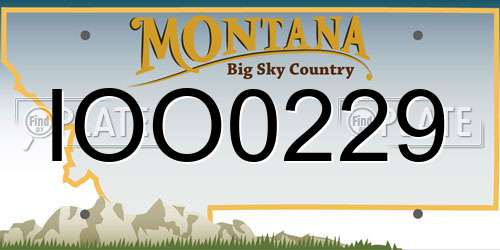 IOO0229 Montana License Plate