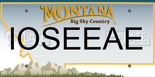 IOSEEAE Montana License Plate