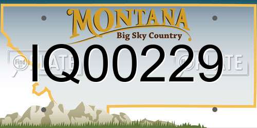 IQ00229 Montana License Plate