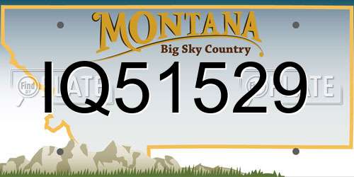 IQ51529 Montana License Plate