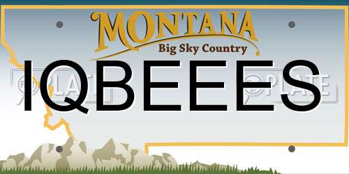 IQBEEES Montana License Plate