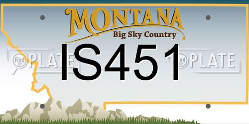 IS451 Montana License Plate