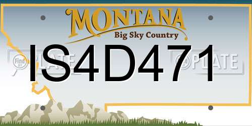 IS4D471 Montana License Plate