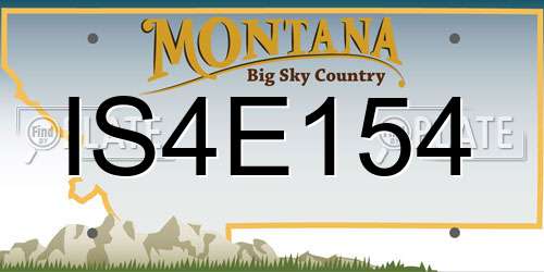IS4E154 Montana License Plate