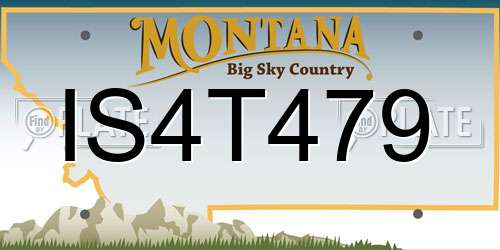 IS4T479 Montana License Plate