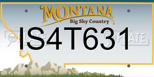 IS4T631 Montana License Plate