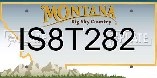 IS8T282 Montana License Plate