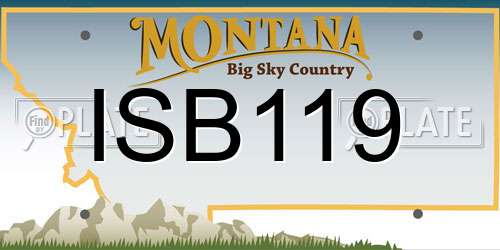 ISB119 Montana License Plate