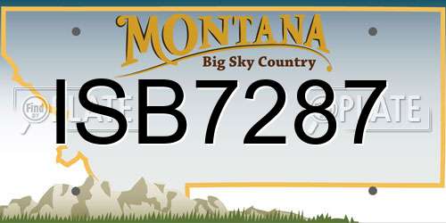 ISB7287 Montana License Plate