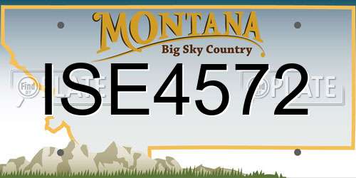 ISE4572 Montana License Plate