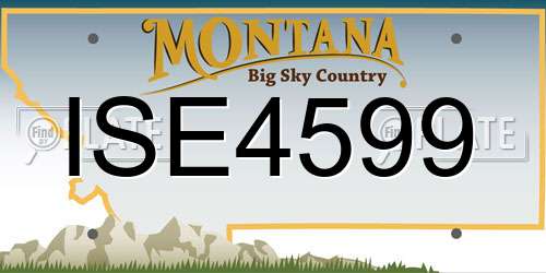 ISE4599 Montana License Plate