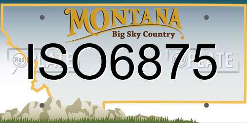 ISO6875 Montana License Plate