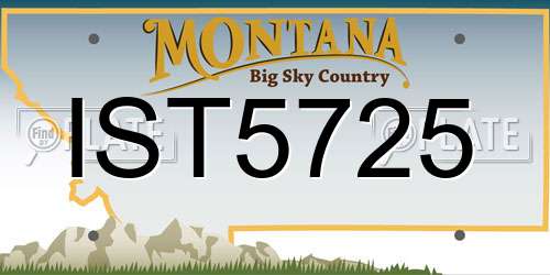 IST5725 Montana License Plate